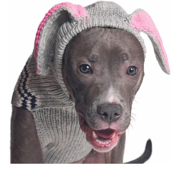 Girl dog very heavy winter sweater! - Picture 1 of 8